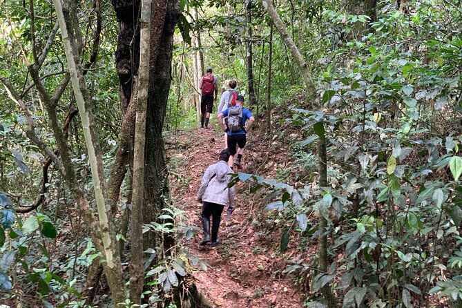 Private Tour in Miches With La Jarda Waterfall Experience - Reviews and Experiences