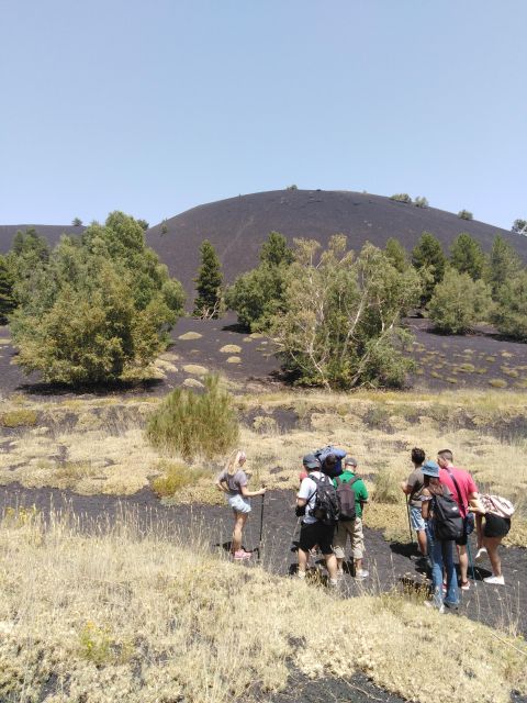 Private Tour of Mount Etna With Wine Tasting and Lunch - Inclusions