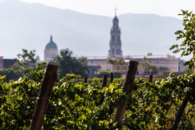 Private Tour of Pompeii Ruins + Organic Wine and Lunch Tasting - Accessibility Features