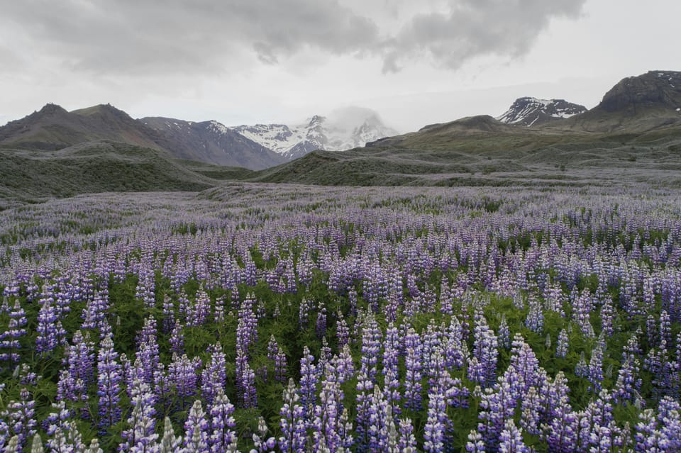Private Tour to Landmannalaugar. Explore the Highlands - Unique Geographical Features