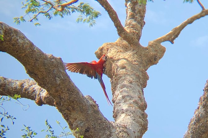 Private Tours and Transfer Costa Rica - Cancellation Policies