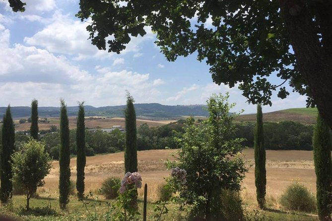 Private Tuscany Wine Tour Experience From Florence - Dining and Pairing