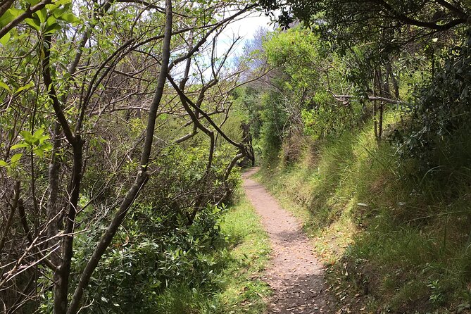 Private Vineyard Bush Walk Tour in Waiheke Island - Booking and Cancellation Policy