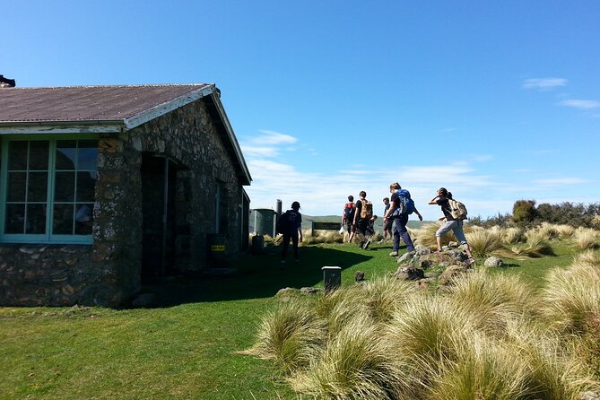 Private Walking Tour - Packhorse Hut From Christchurch - Booking Information