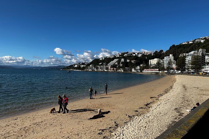 Private Wellington City Highlight Tour - Itinerary Highlights