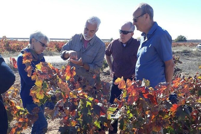 Private Wine Tour With Wine Tasting and Full Lunch - Cancellation Policy