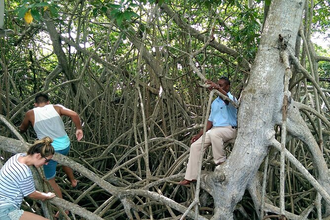 [PRIVATE] YS Falls, Black River, Pelican Bar - Entrance & Lunch - Lunch at Pelican Bar