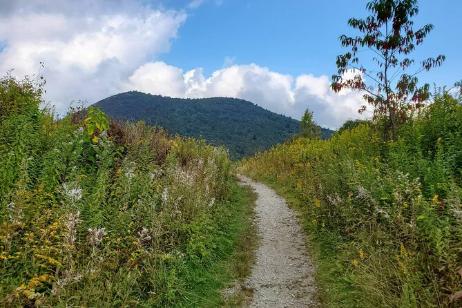 Privately Guided Half Day Hike - Meeting Location and Transportation