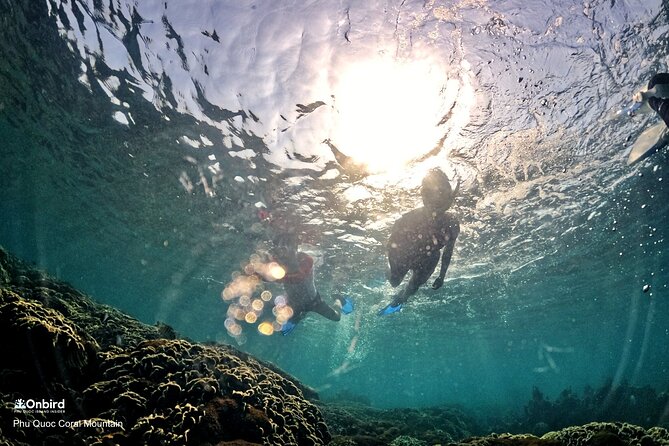 PROFESSIONAL SNORKELING to Explore Hidden Coral Spots (MAX 9 PAX) - Transportation and Guide