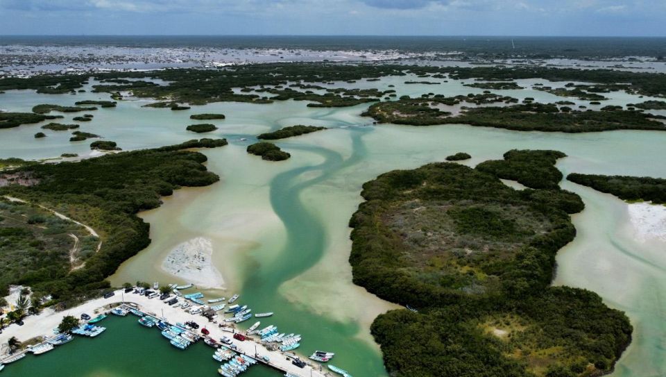 Progress Island Swing and Pig Beach Club Day Pass - Pig Beach Club