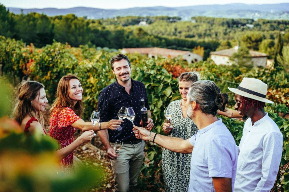 Provence Wine Tour - Private Tour From Nice - Guided Experience