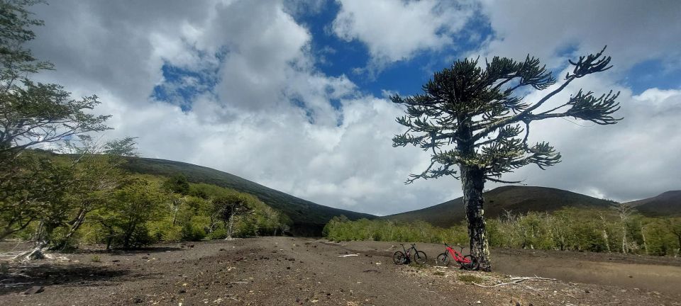 Pucon: Discover Active Volcano Routes With MTB Tour in Ebike - Equipment Provided