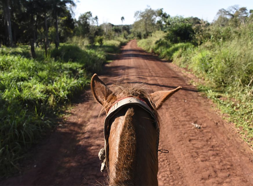 Puerto Iguazu: Jungle Horseback Ride With Guaraní Community - Visiting the Guaraní Community