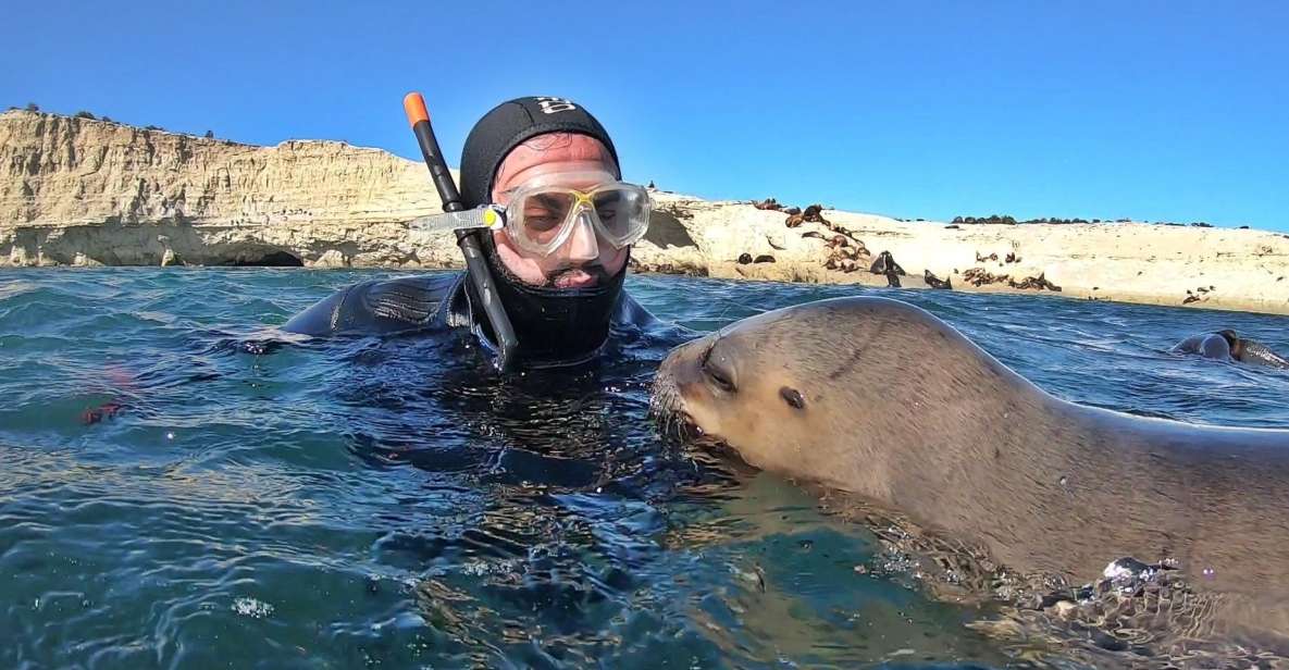 Puerto Madryn: 3-Hour Snorkeling Trip With Sea Lions - Included Services