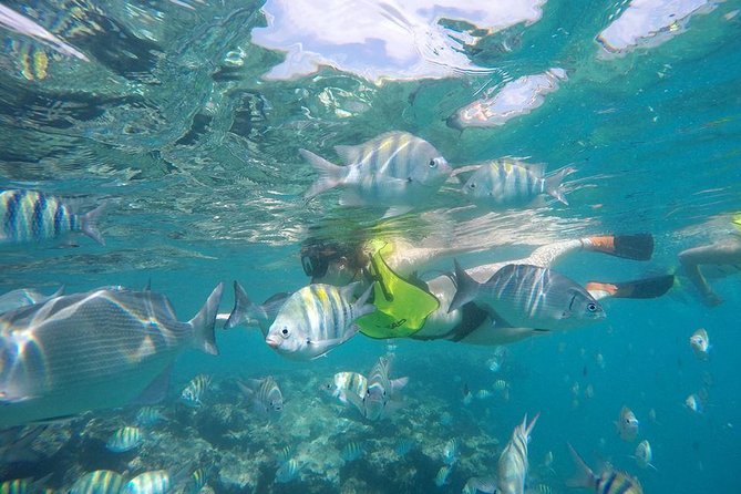 Puerto Plata Shore Excursion, Snorkeling Tour & Sosua Beach Day - Inclusions and Logistics