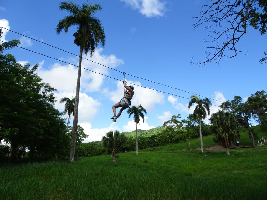 Puerto Plata: Zip Line Adventure - Convenient Transportation Provided