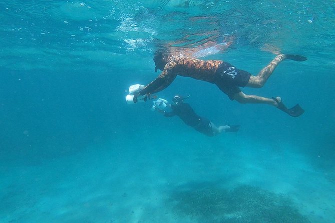 Puerto Rico Jet Snorkel With Turtles and Videos in San Juan - Meeting and Pickup Details