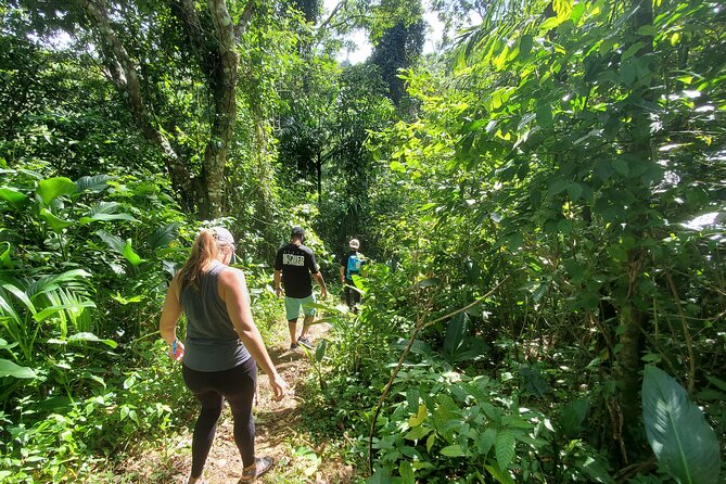 Puerto Rico Tour to El Yunque Rainforest Hiking to Waterfall - Experiencing the Waterfall