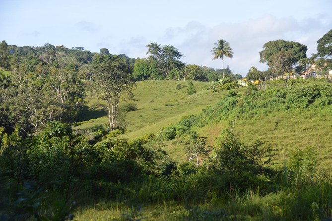 Puerto Rico Waterfall Hiking Tour: Discover Hidden Gems - Vegetarian Option