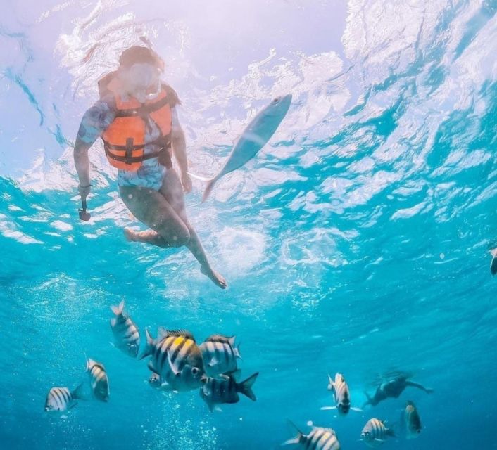 Puerto Vallarta: Los Arcos Islands Boat Tour and Snorkeling - Observing Birds in Caves