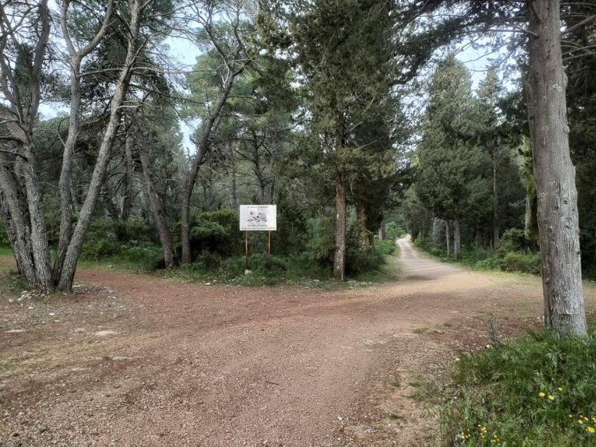 Puglia/Bari: Bike Tour in Forest & Apulian Pizza Tasting - Navigating the Tour