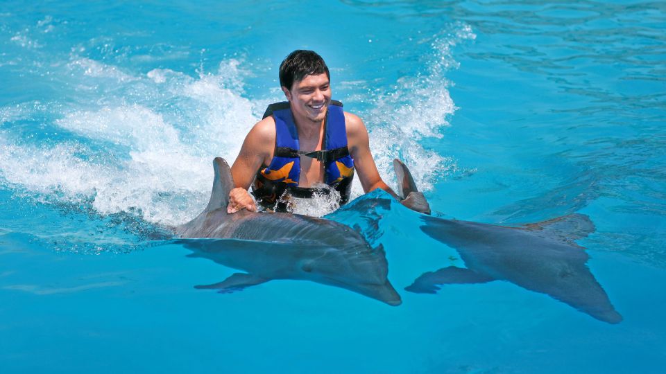 Punta Cana: Dolphin Discovery Swims and Encounters - Pirate Islands Water Attractions