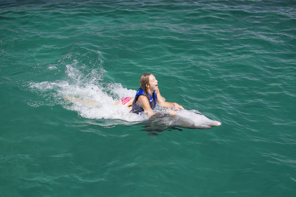 Punta Cana: Dolphin Explorer Swims and Interactions - Funtastic Dolphin Encounter