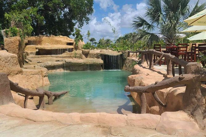 Punta Cana Dune Buggy Adventure and Amazing Water Cave - Health and Safety Guidelines