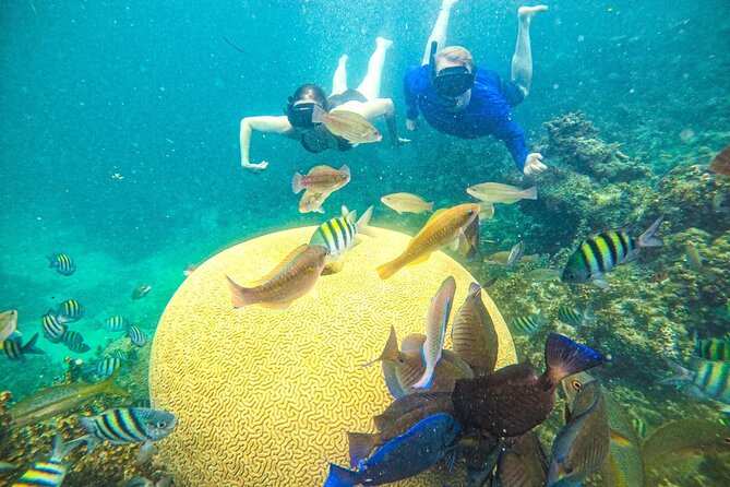 Punta Cana Private Cruise up to 10 Snorkeling & Seafood Lunch - Customer Reviews