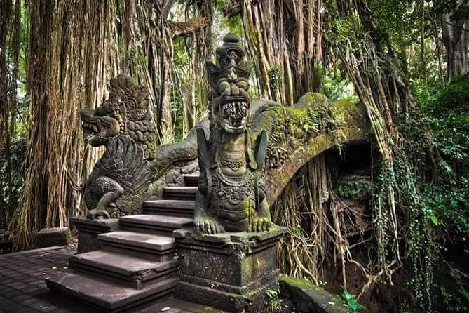 Quad Ride and Ubud Tour - Participation Requirements