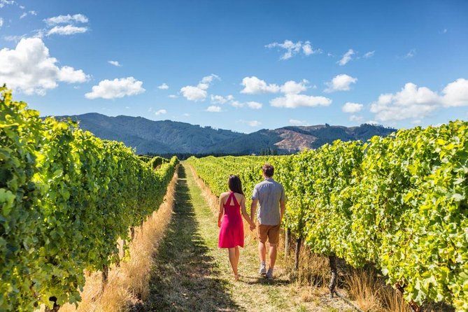 Queenstown Wine and Cardrona Distillery (Private Tour) - Nearby Attractions