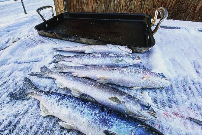 Quick and Easy Ice Fishing at Chena Lake - Booking Your Ice Fishing Adventure