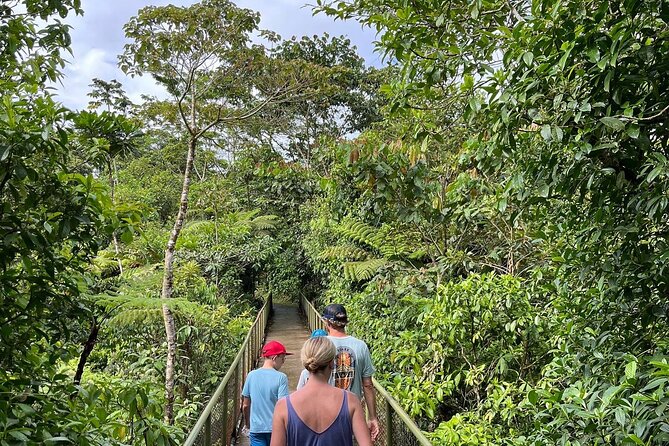 Rain Forest Hike: Rio Celeste Waterfall, Sloth & Butterfly Farm - Meeting and Pickup Details