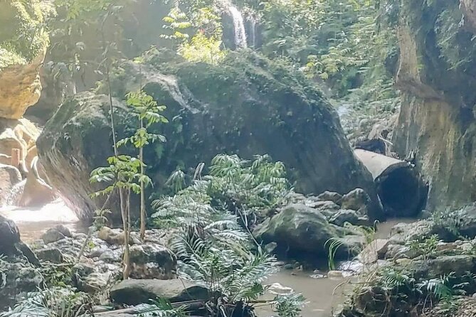 Rainforest Caves and Waterfalls Exploration With Transportation - Preparation Tips for Participants