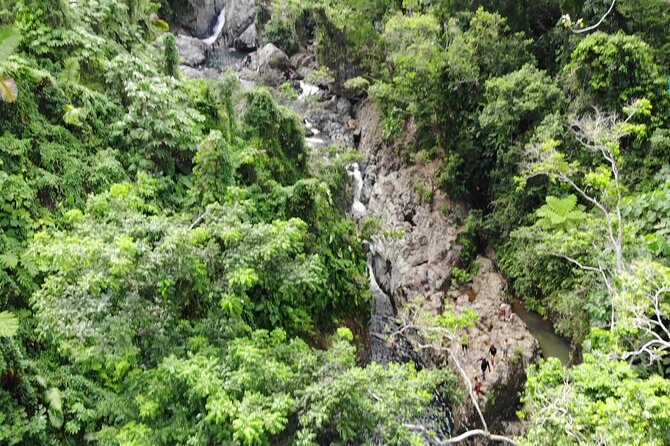 Rainforest River Nature Walk Adventure and Luquillo Beach - Reviews and Testimonials