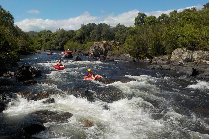Rainforest River Tubing From Cairns - Alternative Activities in Cairns