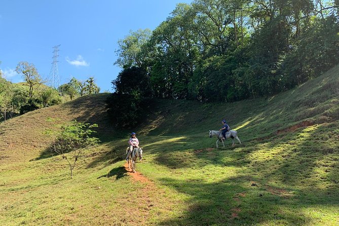 Rancho Típico Don Juan, Horseback Riding Tour - Guest Reviews and Highlights