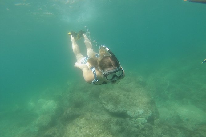 Rando-Palmé Getaway Around an Island - Customer Reviews and Experiences