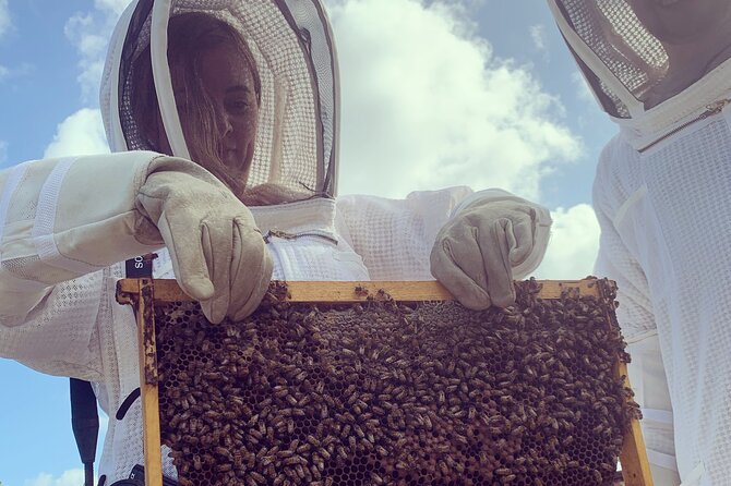 Reagan's Honey Beekeeping Adventure - Whats Included in the Tour