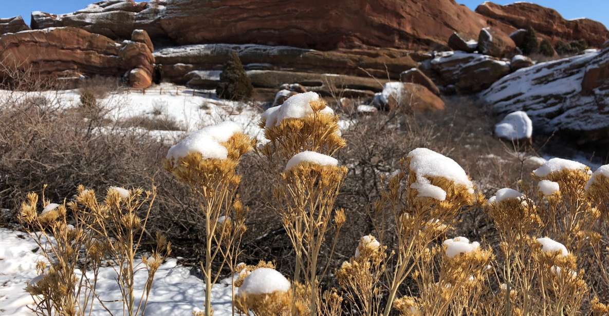 Red Rocks Walking Tour - Wildlife Spotting in the Park