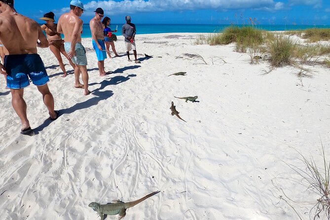 Reef, Beach and Sandbar Tour From Providenciales - Customer Reviews and Ratings