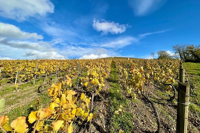 Reims: Small-Group Champagne Tour With Champagne Tastings and Lunch - Learn the Champagne-Making Process
