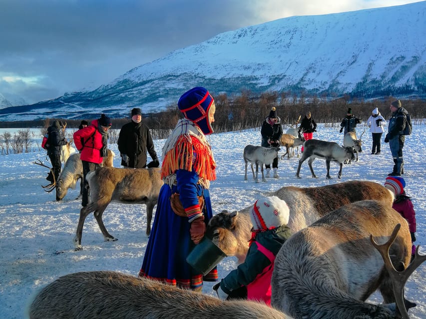 Reindeer Feeding and Sami Experience With Lunch - Meeting Point Information