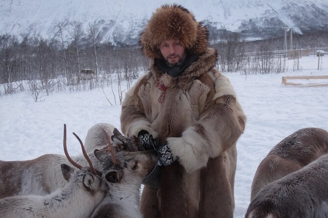 Reindeer Feeding & Saami Culture - Lavvu and Warm Beverages
