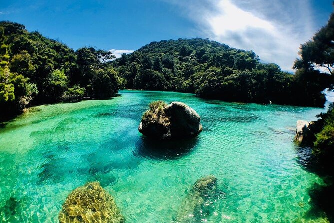 Remote Marine Reserve - Guided Kayaking - New Zealand - Participant Requirements and Risks