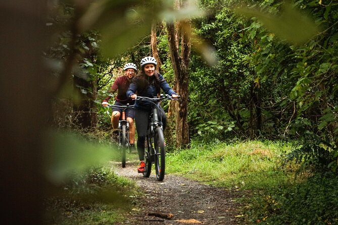 Remutaka Rail Trail Mountain Bike Explorer Cycle Tour - Scenic Trail Experience