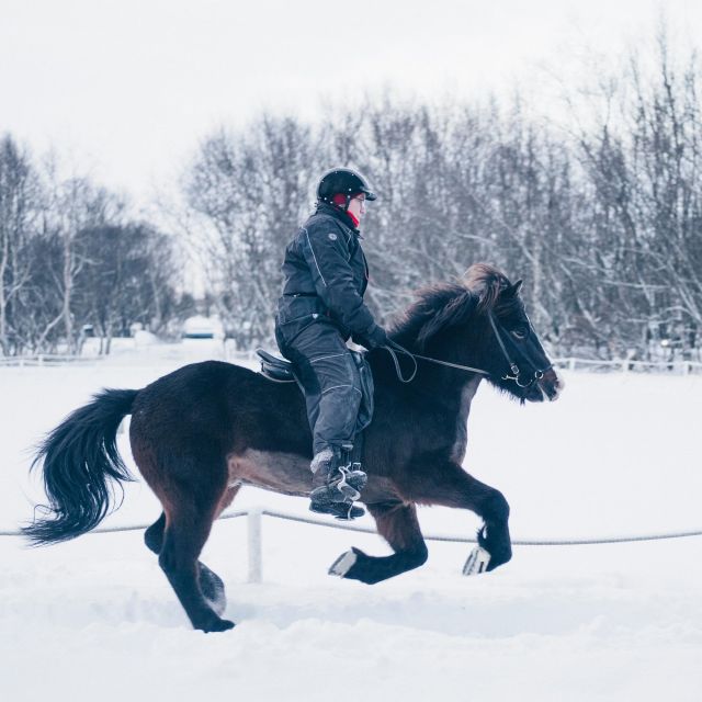 Reykjavik: Golden Circle, Friðheimar, & Sky Lagoon Day Trip - Customer Feedback