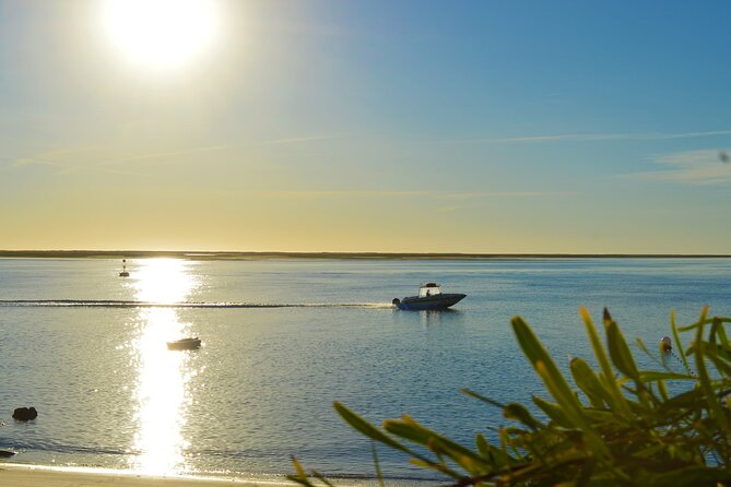 Ria Formosa: 3-Hour Tour With Stops at Culatra Island and Armona Island - Armona Island Visit