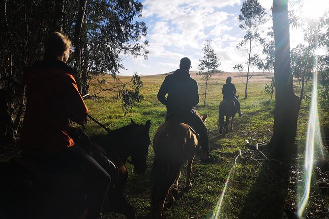 Ride to Watch the Sunset From the Highest Point of the Island - Customer Feedback and Reviews