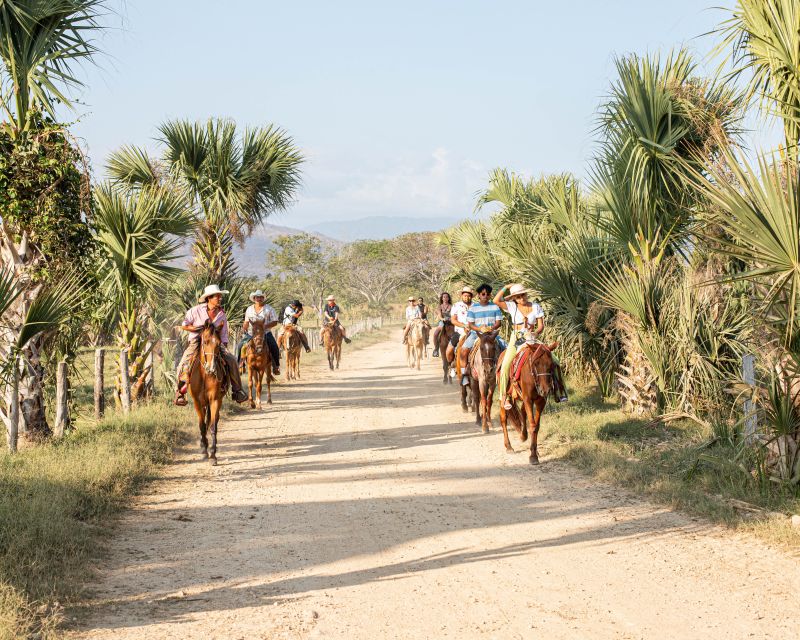 River, Ocean & Sunset Horse Riding Tour - Duration and Cancellation Policy